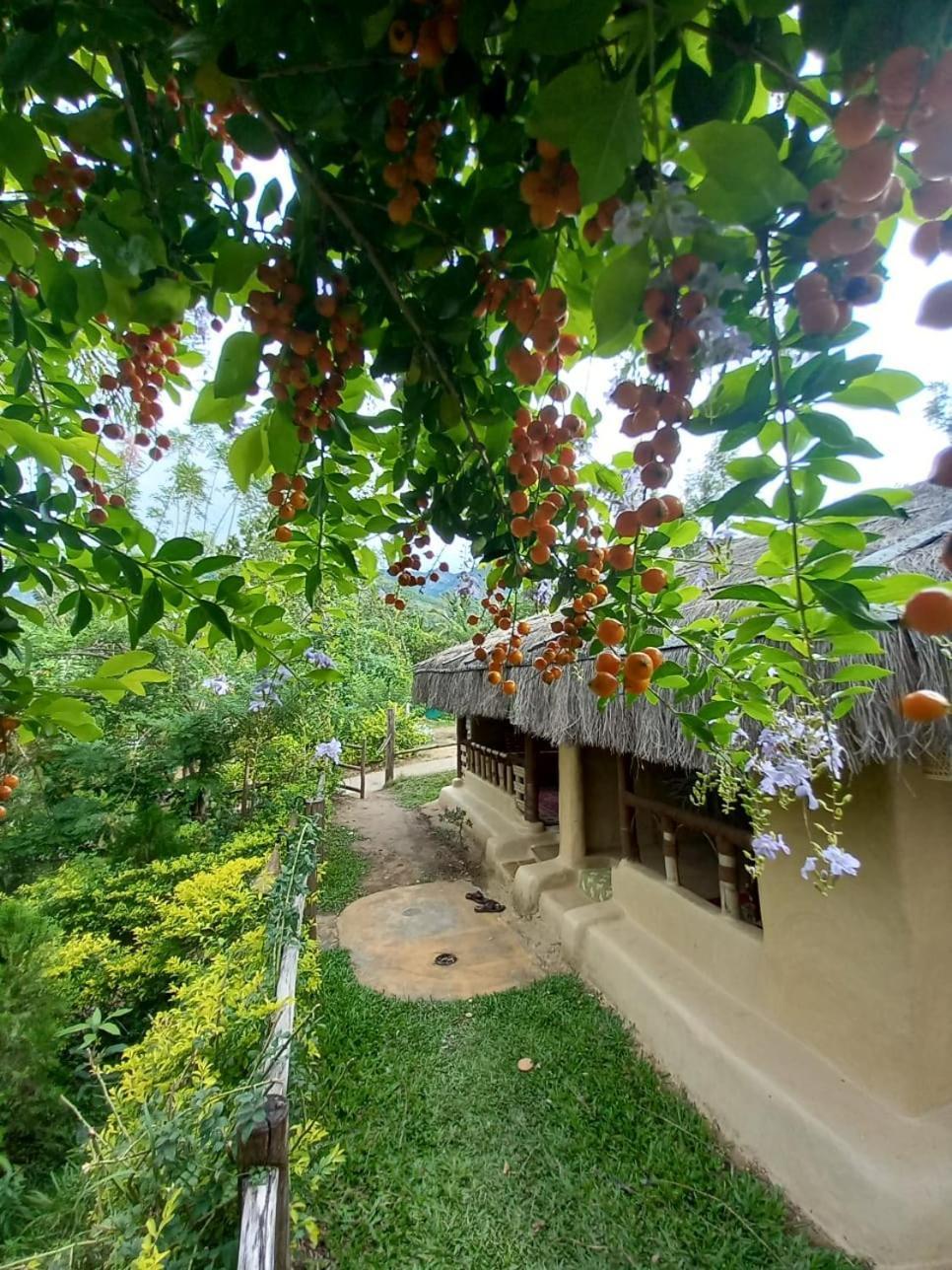 Nature Tones By Brdge Hospitality Maraiyūr 외부 사진